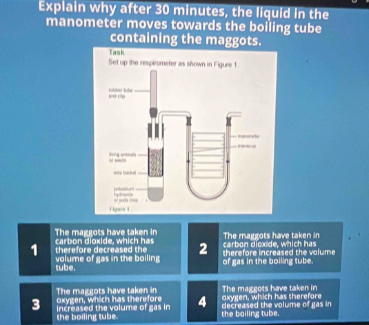 Explain why after 30 minutes, the liquid in the
manometer moves towards the boiling tube
containing the maggots.
The maggots have taken in The maggots have taken in
carbon dioxide, which has carbon dioxide, which has
1 therefore decreased the 2 therefore increased the volume
volume of gas in the boiling
tube. of gas in the boiling tube.
The maggots have taken in The maggots have taken in
oxygen, which has therefore oxygen, which has therefore
3 increased the volume of gas in 4 decreased the volume of gas in
the boiling tube. the boiling tube.