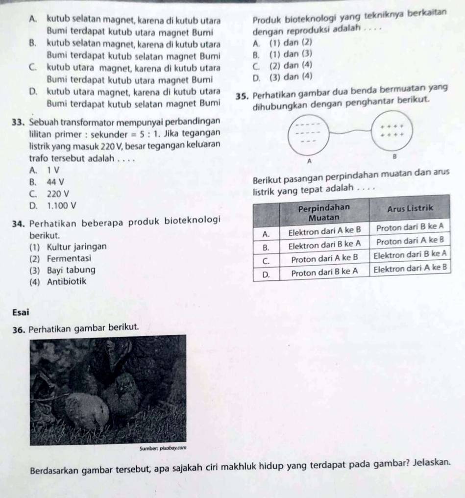 A. kutub selatan magnet, karena di kutub utara Produk bioteknologi yang tekniknya berkaitan
Bumi terdapat kutub utara magnet Bumi dengan reproduksi adalah . . . .
B. kutub selatan magnet, karena di kutub utara A. (1) dan (2)
Bumi terdapat kutub selatan magnet Bumi B. (1) dan (3)
C. kutub utara magnet, karena di kutub utara C. (2) dan (4)
Bumi terdapat kutub utara magnet Bumi D. (3) dan (4)
D. kutub utara magnet, karena di kutub utara 35. Perhatikan gambar dua benda bermuatan yang
Bumi terdapat kutub selatan magnet Bumi
dihubungkan dengan penghantar berikut.
33. Sebuah transformator mempunyai perbandingan
lilitan primer : sekunder =5:1. Jika tegangan
listrik yang masuk 220 V, besar tegangan keluaran
trafo tersebut adalah . . . .
A. 1 V
B. 44 V
Berikut pasangan perpindahan muatan dan arus
tepat adalah
C. 220 V....
D. 1.100 V
34. Perhatikan beberapa produk bioteknologi
berikut. 
(1) Kultur jaringan 
(2) Fermentasi 
(3) Bayi tabung
(4) Antibiotik 
Esai
36. Perhatikan gambar berikut.
Berdasarkan gambar tersebut; apa sajakah ciri makhluk hidup yang terdapat pada gambar? Jelaskan.