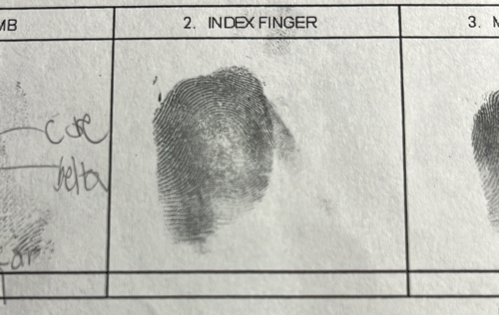 INDEXFINGER 3. N