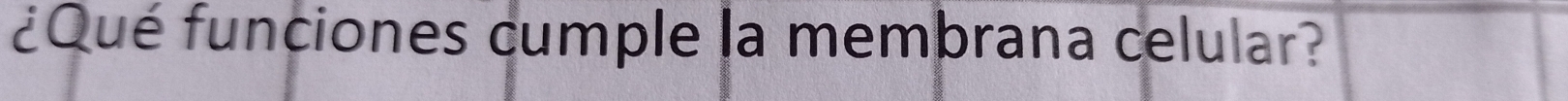 ¿Qué funciones cumple la membrana celular?