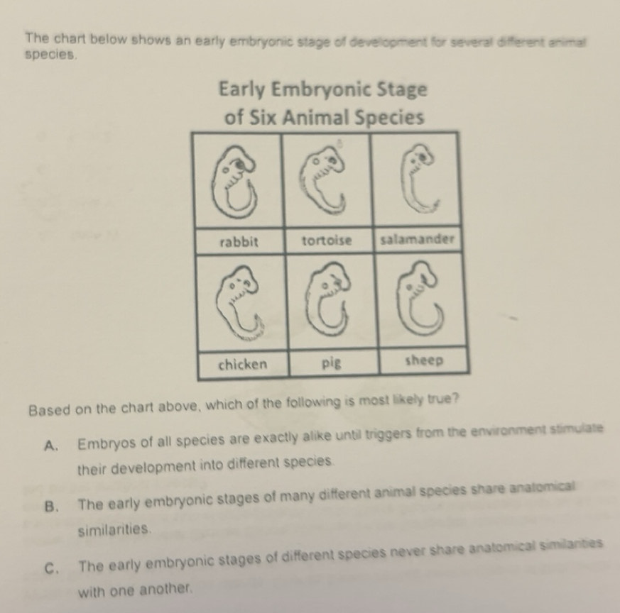 Solved: The chart below shows an early embryonic stage of development ...