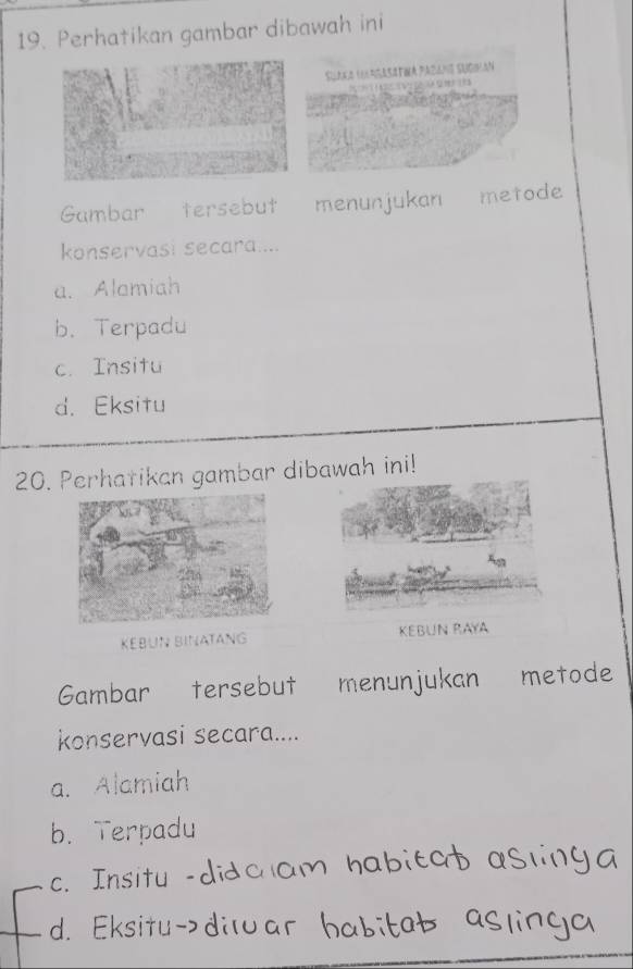 Perhatikan gambar dibawah ini
Suaka largasatia Pazane sucihan
Gambar tersebut menunjukan metode
konservasi secara....
a. Alamiah
b. Terpadu
c. Insitu
d. Eksitu
20. Perhatikan gambar dibawah ini!
KEBUN BINATANG KEBUN RAYA
Gambar tersebut menunjukan metode
konservasi secara....
a. Alamiah
b. Terpadu
c. Insitu
d. Eksitu