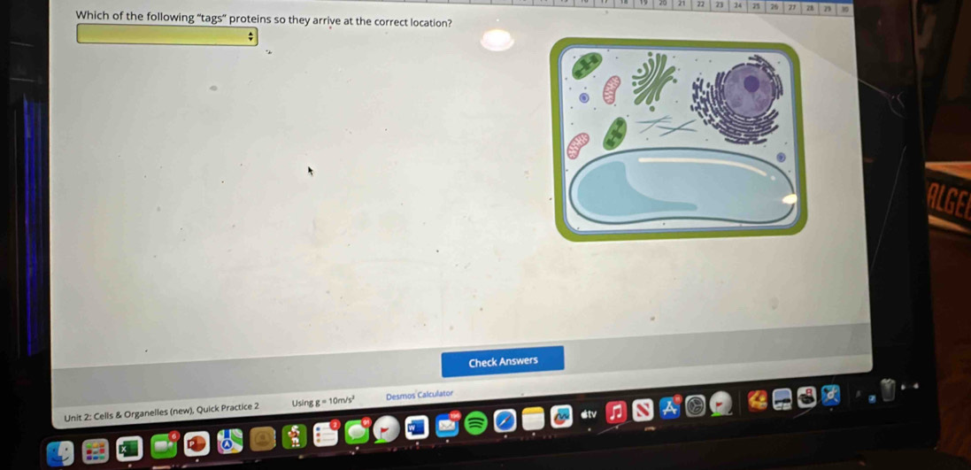 21 22 23 24 7 76 71 28 79 10 
Which of the following “tags” proteins so they arrive at the correct location? 
Check Answers 
Unit 2: Cells & Organelles (new), Quick Practice 2 Using g = 10m/s² Desmos Calculator