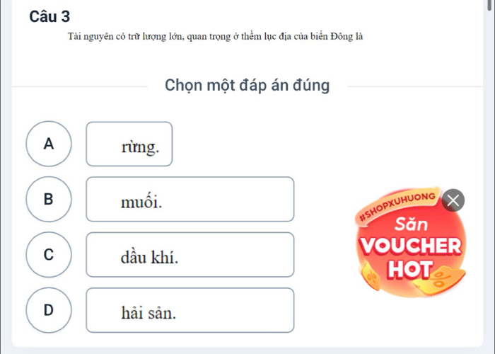 Tài nguyên có trữ lượng lớn, quan trọng ở thềm lục địa của biển Đông là
Chọn một đáp án đúng
A rừng.
B muối.
#SHOPXUHUONG
Săn
C dầu khí.
VOUCHER
HOT
D hải sản.