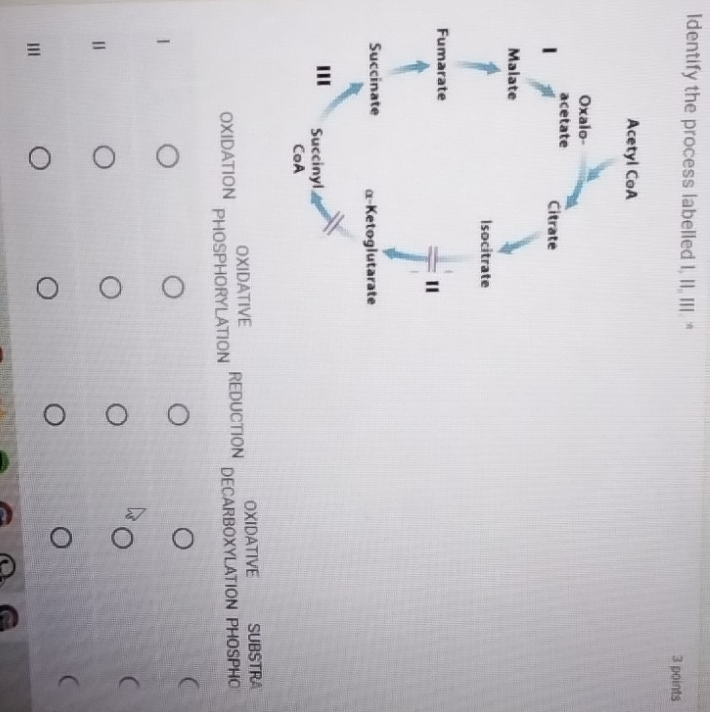 Identify the process labelled I, II, III. " 
3 points 
OXIDATIVE SUBSTRA 
OXIDATIVE REDUCTION 
OXIDATION PHOSPHORYLATION 
DECARBOXYLATION PHOSPHO 
 
( 
[ 
(