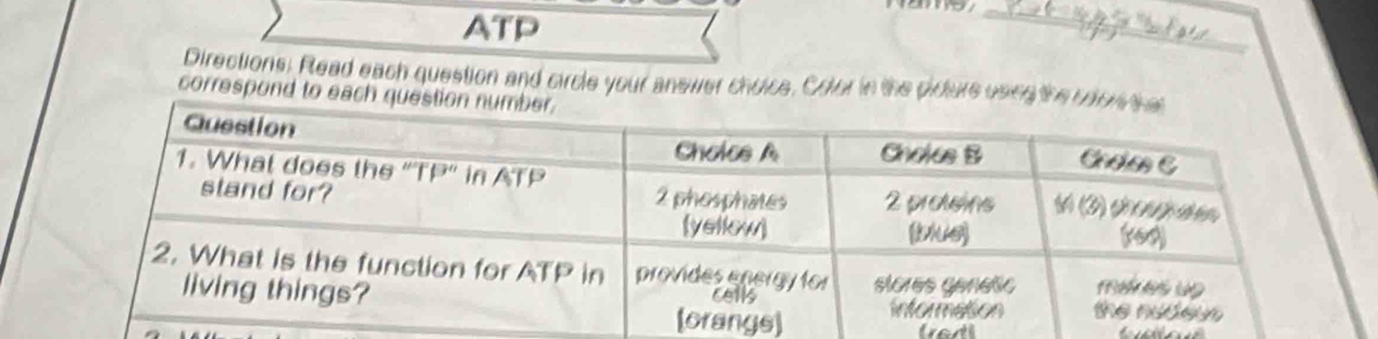 ATP 
Directions: Read each question and circle your answer choice. Color in the picture osi 
correspond to