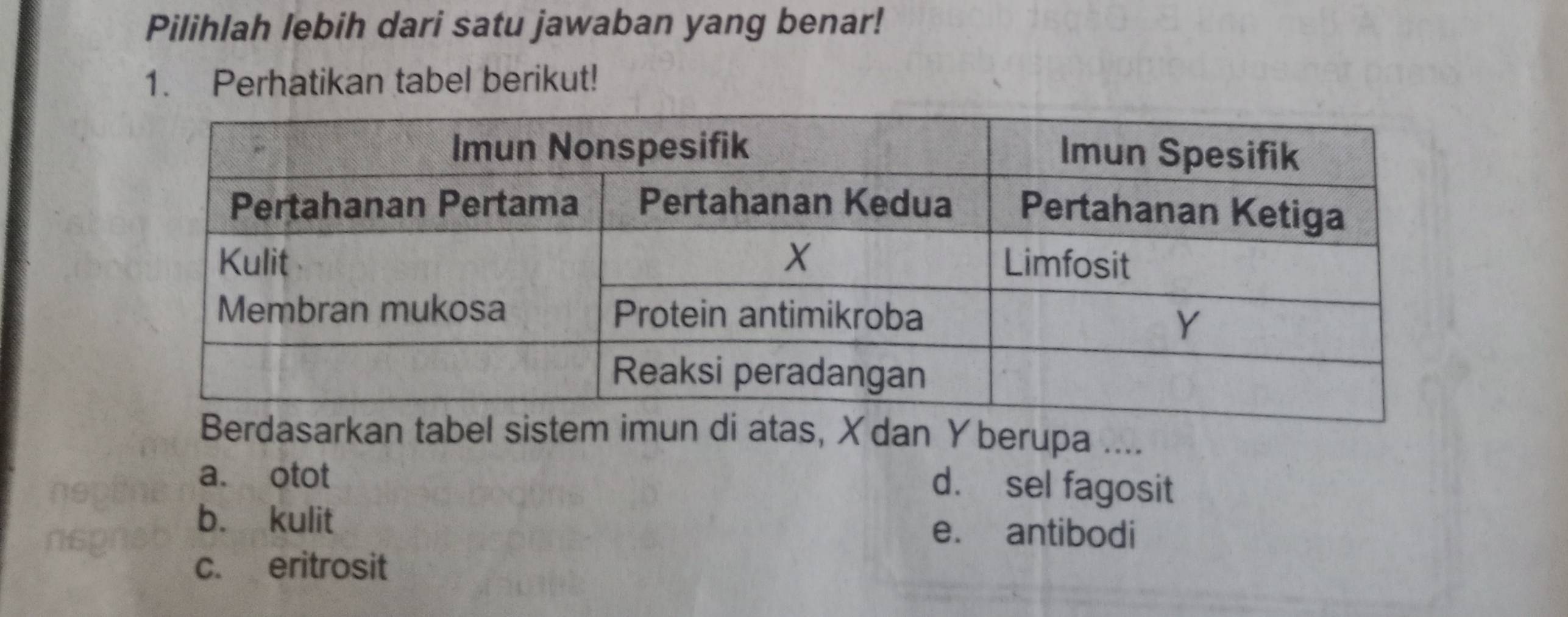 Pilihlah lebih dari satu jawaban yang benar!
1. Perhatikan tabel berikut!
s, Xdan Yberupa ....
n
a. otot
d. sel fagosit
b. kulit e. antibodi
ns
c. eritrosit