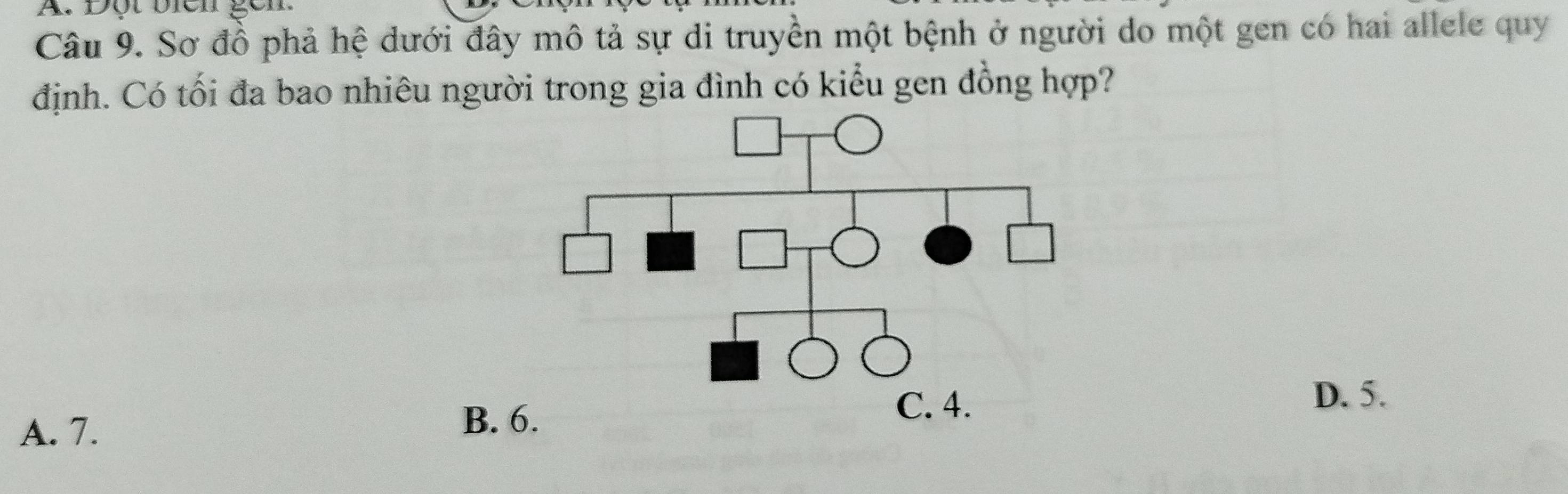 Sơ đồ phả hệ dưới đây mô tả sự di truyền một bệnh ở người do một gen có hai allele quy
định. Có tối đa bao nhiêu người trong gia đình có kiểu gen đồng hợp?
D. 5.
A. 7.
B.