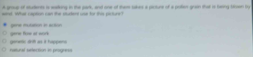 A group of students is walking in the park, and one of them takes a picture of a pollen grain that is being blown by
wind. What caption can the student use for this picture?
gene mutation in action
gene flow at work
genetic drift as it happens
natural selection in progress