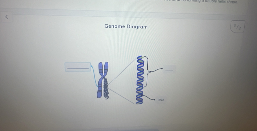 orming a double helix shape . 
Genome Diagram σ / 2