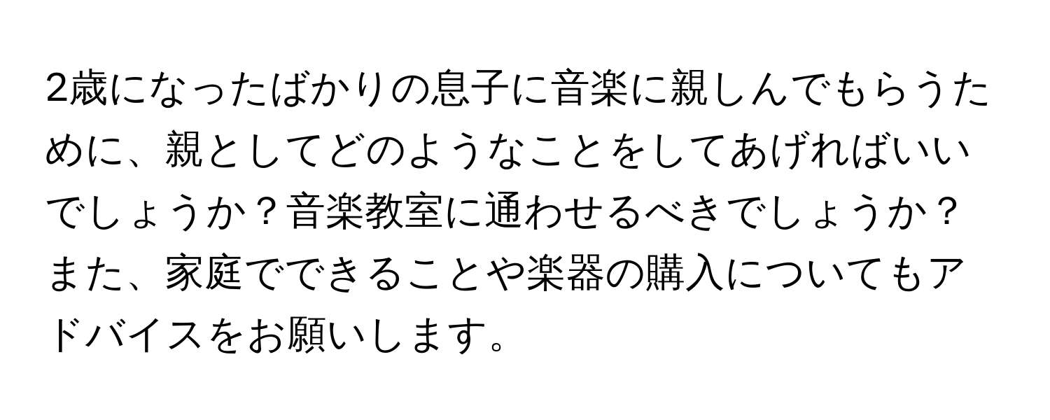 2歳になったばかりの息子に音楽に親しんでもらうために、親としてどのようなことをしてあげればいいでしょうか？音楽教室に通わせるべきでしょうか？また、家庭でできることや楽器の購入についてもアドバイスをお願いします。