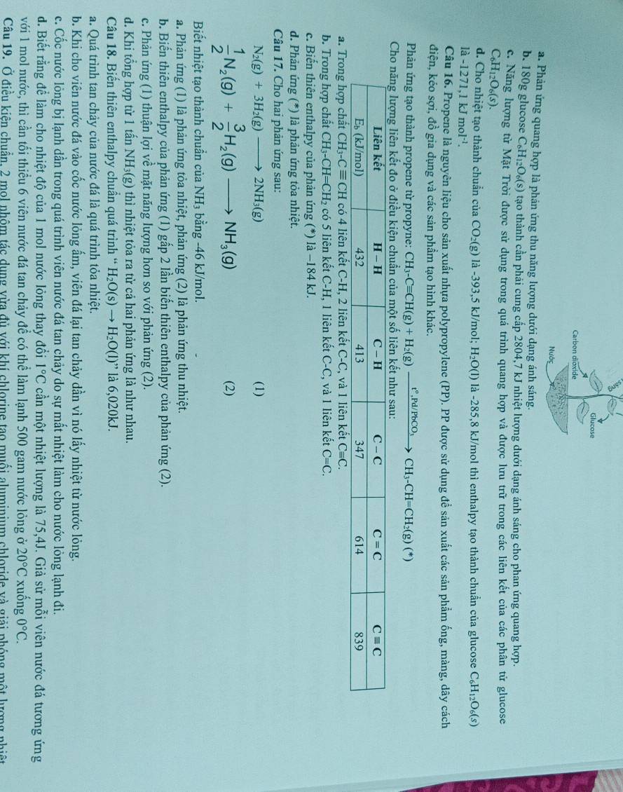 Glucose
Carbon dioxide
Nước
a. Phản ứng quang hợp là phản ứng thu năng lượng dưới dạng ánh sáng.
b. 180g glucose C_6H_12O_6(s) 0 tạo thành cần phải cung cấp 2804,7 kJ nhiệt lượng dưới dạng ánh sáng cho phan ứng quang hợp.
c. Năng lượng từ Mặt Trời được sử dụng trong quá trình quang hợp và được lưu trữ trong các liên kết của các phân tử glucose
C_6H_12O_6(s).
d. Cho nhiệt tạo thành chuẩn của CO_2(g) là -393,5 kJ/mol; H_2O(l) là -285,8 kJ/mol thì enthalpy tạo thành chuẩn của glucose C_6H_12O_6(s)
la-1271,1kJmol^(-1).
Câu 16. Propene là nguyên liệu cho sản xuất nhựa polypropylene (PP). PP được sử dụng đề sản xuất các sản phẩm ống, màng, dây cách
điện, kéo sợi, đồ gia dụng và các sản phầm tạo hình khác.
Phản ứng tạo thành propene từ propyne: CH_3-Cequiv CH(g)+H_2(g)_ t° ,Pd/PbCO₁ CH_3-CH=CH_2(g)(*)
b. Trong hợp chất CH_3-CH=CH_2 có 5 liên kết C-H, 1 liên kết C-C, và 1 liên kết C=C.
c. Biến thiên enthalpy của phản ứng (*) là −184 kJ.
d. Phản ứng (*) là phản ứng tỏa nhiệt.
Câu 17. Cho hai phản ứng sau:
N_2(g)+3H_2(g)to 2NH_3(g) (1)
 1/2 N_2(g)+ 3/2 H_2(g)to NH_3(g) (2)
Biết nhiệt tạo thành chuẩn của 1 JE I₃ bằng -46 kJ/mol.
a. Phản ứng (1) là phản ứng tỏa nhiệt, phản ứng (2) là phản ứng thu nhiệt.
b. Biến thiên enthalpy của phản ứng (1) gấp 2 lần biến thiên enthalpy của phản ứng (2).
c. Phản ứng (1) thuận lợi về mặt năng lượng hơn so với phản ứng (2).
d. Khi tổng hợp từ 1 tấn NH₃(g) thì nhiệt tỏa ra từ cả hai phản ứng là như nhau.
Câu 18. Biến thiên enthalpy chuần quá trình “ H_2O(s)to H_2O(l)'' là 6,020kJ.
a. Quá trình tan chảy của nước đá là quá trình tỏa nhiệt.
b. Khi cho viên nước đá vào cốc nước lỏng ẩm, viên đá lại tan chảy dần vì nó lấy nhiệt từ nước lỏng.
c. Cốc nước lỏng bị lạnh dần trong quá trình viên nước đá tan chảy do sự mất nhiệt làm cho nước lỏng lạnh đi.
d. Biết rằng để làm cho nhiệt độ của 1 mol nước lỏng thay đổi 1°C cần một nhiệt lượng là 75,4J. Giả sử mỗi viên nước đá tương ứng
với 1 mol nước, thì cần tối thiểu 6 viên nước đá tan chảy đề có thể làm lạnh 500 gam nước lỏng ở 20°C xuống 0°C.
Câu 19. Ở điều kiên chuẩn, 2 mol nhôm tác dụng vừa đủ với khí chlorine tạo muối aluminium chloride và giải phóng một lượng nhiệt