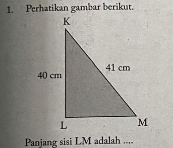 Perhatikan gambar berikut. 
Panjang sisi LM adalah ....