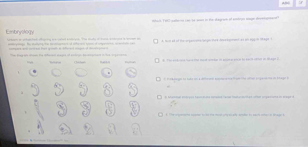 Solved: ABC Which TWD patterns can be seen in the diagram of embryo ...