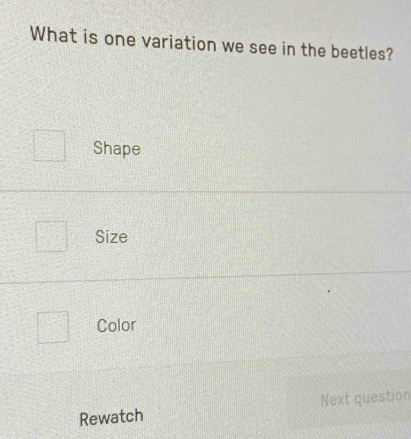 What is one variation we see in the beetles?
Shape
Size
Color
Rewatch Next question