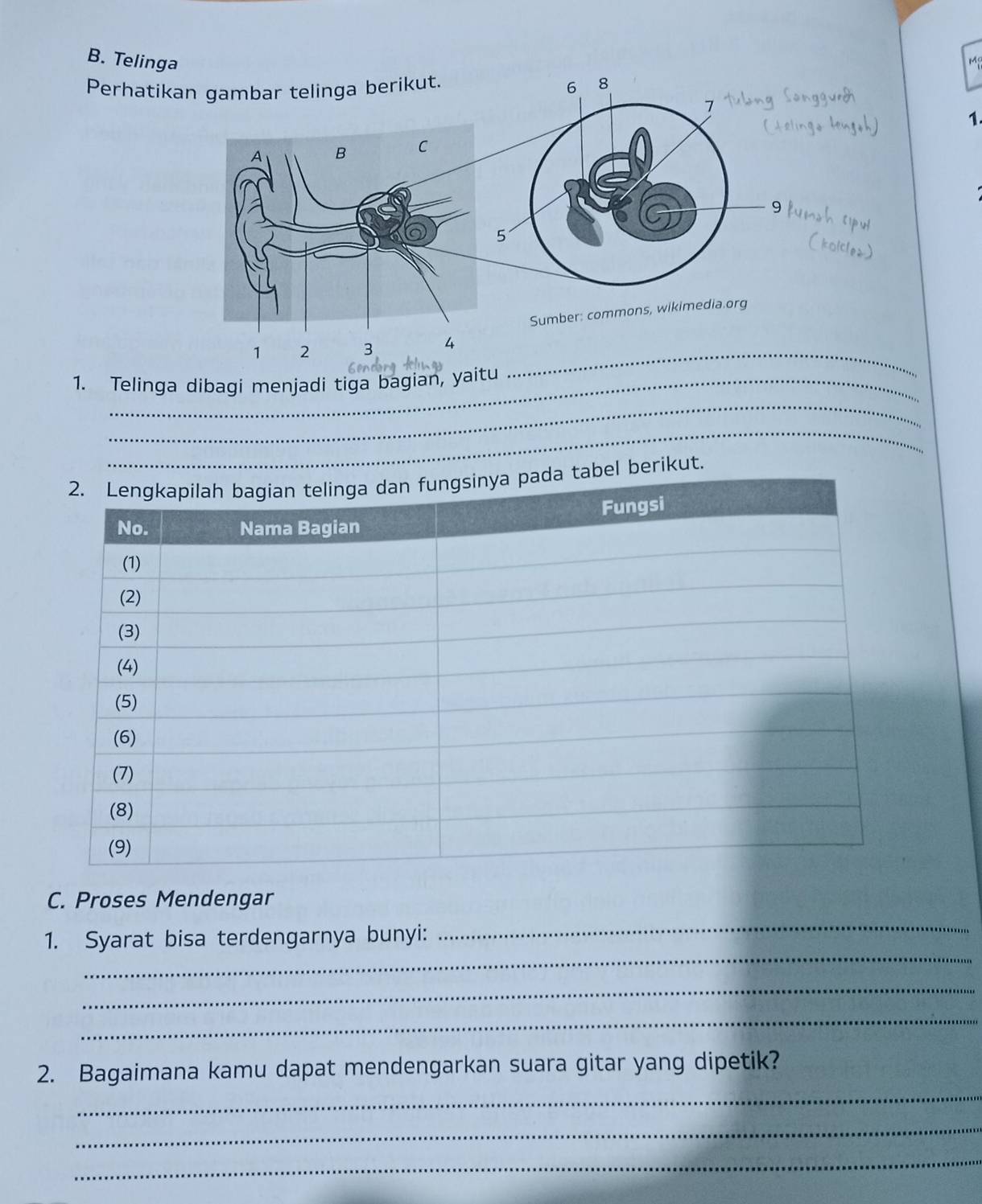 Telinga 
Perhati 
1 
_ 
_ 
1. Telinga dibagi menjadi tiga bagian, yaitu 
_ 
bel berikut. 
C. Proses Mendengar 
_ 
_ 
1. Syarat bisa terdengarnya bunyi: 
_ 
_ 
_ 
2. Bagaimana kamu dapat mendengarkan suara gitar yang dipetik? 
_ 
_