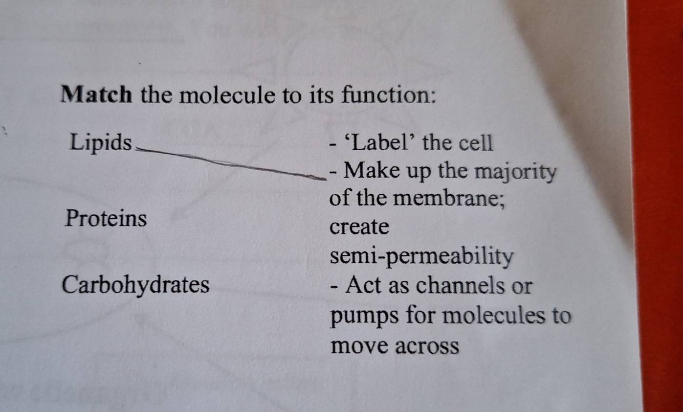 Match the molecule to its function: 
Lipids_ - ‘Label’ the cell 
- Make up the majority 
of the membrane; 
Proteins 
create 
semi-permeability 
Carbohydrates - Act as channels or 
pumps for molecules to 
move across