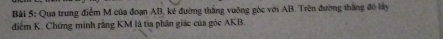 Qua trung điểm M của đoạn AB, kẻ đường thắng vuỡng góc với AB. Trên đường thắng đó lấy 
điểm K. Chứng minh rằng KM là tia phần giác của góc AKB.