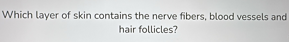 Which layer of skin contains the nerve fibers, blood vessels and 
hair follicles?