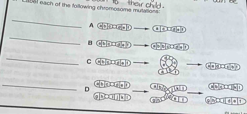 abel each of the following chromosome mutations: 
_ 
A abc ode ! a c ¤d o 1 
_ 
B a b codel ab b c¤d e t 
_ 
d 
C ab be e f 
a0 d¤ c b 1
a 
b 
_a b d 0 t a b a 1 k 1 alb c IKD 
D 
d 
h | | k D gh f gh d θ f