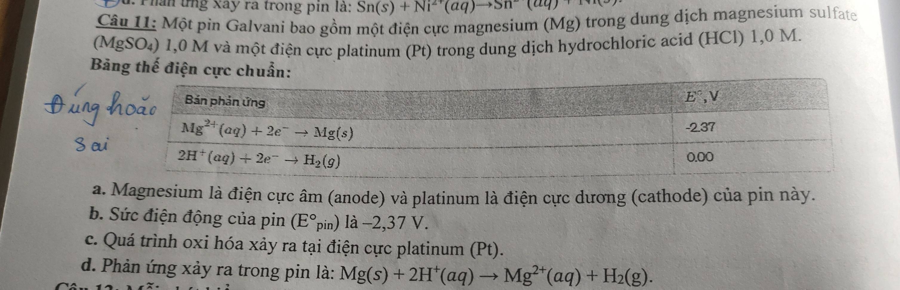 Thân ứng Xây ra trong pin là: Sn(s)+Ni^(2+)(aq)to Sn^2(aq)
Câu I1: Một pin Galvani bao gồm một điện cực magnesium (Mg) trong dung dịch magnesium sulfate
(MgSO₄) 1,0 M và một điện cực platinum (Pt) trong dung dịch hydrochloric acid (HCl) 1,0 M.
Bảng thế điện cực ch
a. Magnesium là điện cực âm (anode) và platinum là điện cực dương (cathode) của pin này.
b. Sức điện động của pin (E°pin) là −2,37 V.
c. Quá trình oxi hóa xảy ra tại điện cực platinum (Pt).
d. Phản ứng xảy ra trong pin là: Mg(s)+2H^+(aq)to Mg^(2+)(aq)+H_2(g).