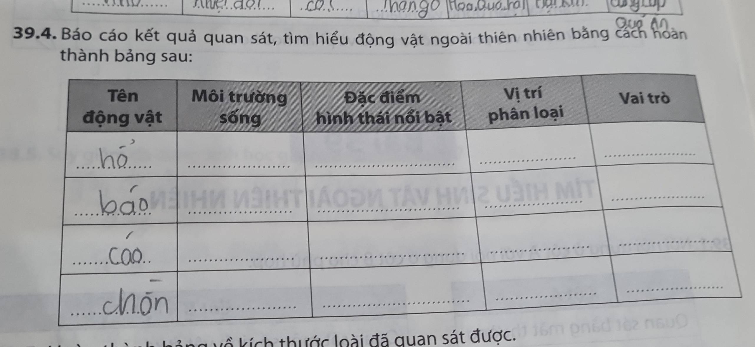 Báo cáo kết quả quan sát, tìm hiểu động vật ngoài thiên nhiên bằng cách hoàn 
thành bảng sau: 
l kích thước loài đã quan sát được.