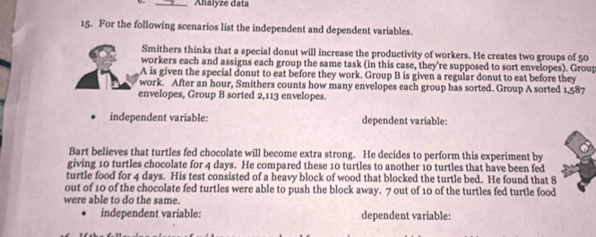 Analyze data 
15. For the following scenarios list the independent and dependent variables. 
Smithers thinks that a special donut will increase the productivity of workers. He creates two groups of 50
workers each and assigns each group the same task (in this case, they're supposed to sort envelopes). Group 
A is given the special donut to eat before they work. Group B is given a regular donut to eat before they 
work. After an hour, Smithers counts how many envelopes each group has sorted. Group A sorted 1,587
envelopes, Group B sorted 2,113 envelopes. 
independent variable: dependent variable: 
Bart believes that turtles fed chocolate will become extra strong. He decides to perform this experiment by 
giving 10 turtles chocolate for 4 days. He compared these 10 turtles to another 10 turtles that have been fed 
turtle food for 4 days. His test consisted of a heavy block of wood that blocked the turtle bed. He found that 8
out of 10 of the chocolate fed turtles were able to push the block away. 7 out of 10 of the turtles fed turtle food 
were able to do the same. 
independent variable: dependent variable: