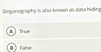 Solved: Steganography is also known as data hiding ATrue B False [Others]
