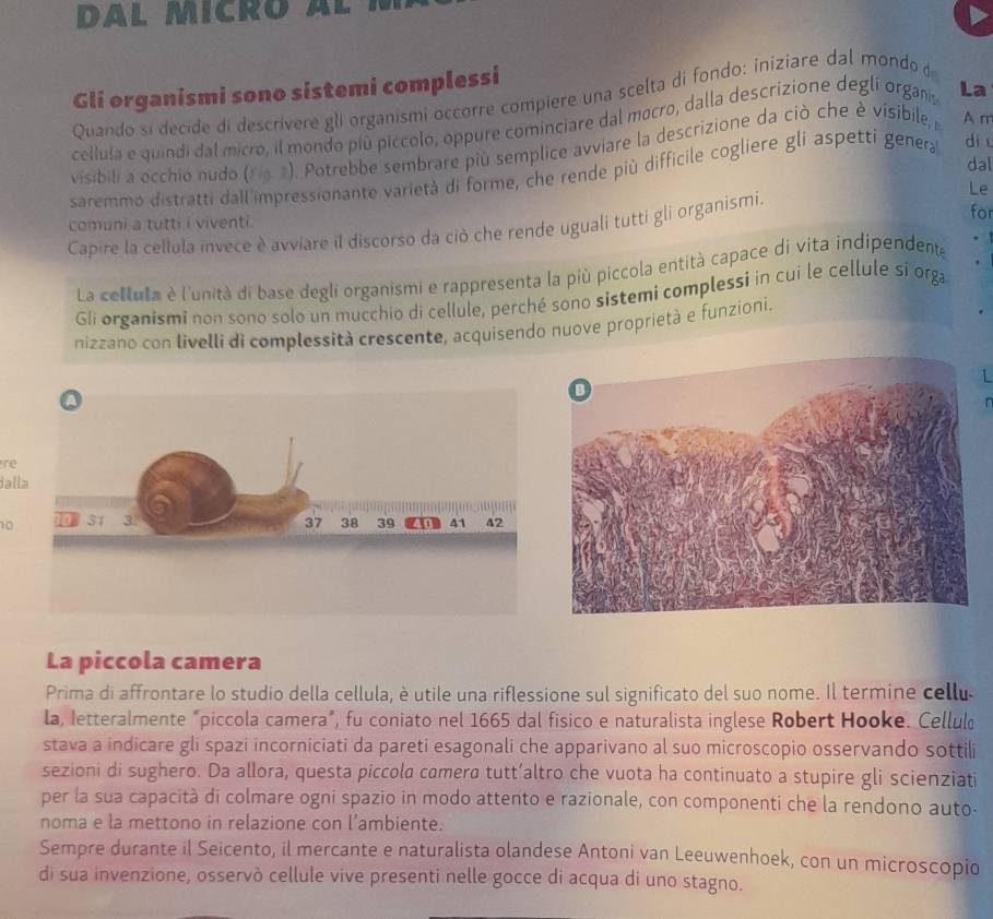 dal micro a l à
Gli organismi sono sistemi complessi
Quando si decide di descrivere gli organismi occorre compiere una scelta di fondo: iniziare dal mondod
cellula e quindi dal micro, il mondo più piccolo, oppure cominciare dal mocro, dalla descrizione degli organis La
visibili a occhio nudo (rg 2). Potrebbe sembrare più semplice avviare la descrizione da ciò che è visibile, a A m
dal
saremmo distratti dall'impressionante varietà di forme, che rende più difficile cogliere gli aspetti genera diu
comuni a tutti i viventi.
Capire la cellula invece è avviare il discorso da ciò che rende uguali tutti gli organismi.
Le
for
La cellula è l'unità di base degli organismi e rappresenta la più piccola entità capace di vita indipendente
Gli organismi non sono solo un mucchio di cellule, perché sono sistemi complessi in cui le cellule si orga
nizzano con livelli di complessità crescente, acquisendo nuove proprietà e funzioni.
re
dall
0
La piccola camera
Prima di affrontare lo studio della cellula, è utile una riflessione sul significato del suo nome. Il termine cellu
la, letteralmente "piccola camera”, fu coniato nel 1665 dal fisico e naturalista inglese Robert Hooke. Cellul
stava a indicare gli spazi incorniciati da pareti esagonali che apparivano al suo microscopio osservando sottili
sezioni di sughero. Da allora, questa piccola camerø tutt’altro che vuota ha continuato a stupire gli scienziati
per la sua capacità di colmare ogni spazio in modo attento e razionale, con componenti che la rendono auto-
noma e la mettono in relazione con l’ambiente.
Sempre durante il Seicento, il mercante e naturalista olandese Antoni van Leeuwenhoek, con un microscopio
di sua invenzione, osservò cellule vive presenti nelle gocce di acqua di uno stagno.