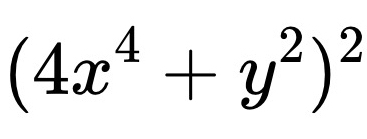 (4x^4+y^2)^2