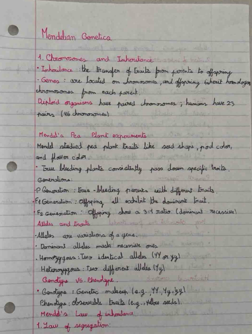 Mendedam Gemelica 
1. Choromozomes and Inhoulance 
Inhoilance the Eranden of Gnoila from parents to efforing 
Gemes: are located on dhremenomea, and offening ihert homdogos 
chnomozomen from each farenk. 
Dipoid organions have pouised chonemoomes; humam have 23
nain ( 46 chnomosome. 
Hendd'a Pea Plank expouments 
Homdd atudied pea plank Erails like rad shape, rod colon, 
and Hlower colon. 
Tue blading plants comialinbly pom down epecilic trits. 
Gonexalions: 
PGemonation: Juce- bleading parnta with differunt brail. 
F1 Gemenation : Olhoping all aochilit the dominant Fnail.
F_2 Gomenation: Offering show a 3:y patie (domimant necensivel 
Alde and Eraita 
. Allels aou varialions of a game. 
Domimant alleler mads necrive onez 
Homogygoun: Twer idmlical alledn (Wa yy! 
Helonoyygoun : Two different alleles (y_y)
Coneghe vs. Bhandyne. 
Gonolyne : Gemelic makuch (e· g· yy,y_y,iy)
ehamoys : doevable braila (e· g. ,yollow seeds1. 
Memdeas Law of inhoulana 
1. low of nxpugation: