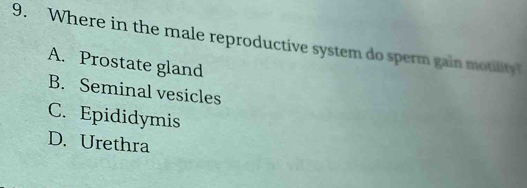 Where in the male reproductive system do sperm gain motility
A. Prostate gland
B. Seminal vesicles
C. Epididymis
D. Urethra