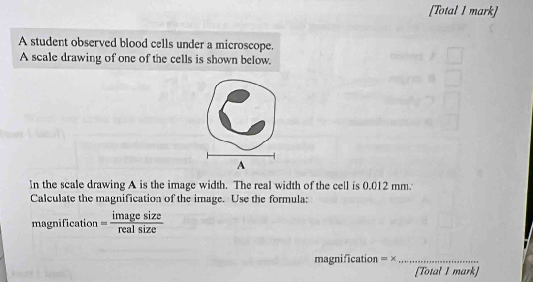 [Total 1 mark] 
A student observed blood cells under a microscope. 
A scale drawing of one of the cells is shown below. 
In the scale drawing A is the image width. The real width of the cell is 0.012 mm. 
Calculate the magnification of the image. Use the formula: 
magnification = imagesize/realsize 
magnification = x_ 
[Total 1 mark]