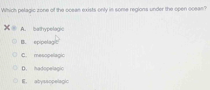 Which pelagic zone of the ocean exists only in some regions under the open ocean?
A. bathypelagic
B. epipelagic
C. mesopelagic
D. hadopelagic
E. abyssopelagic