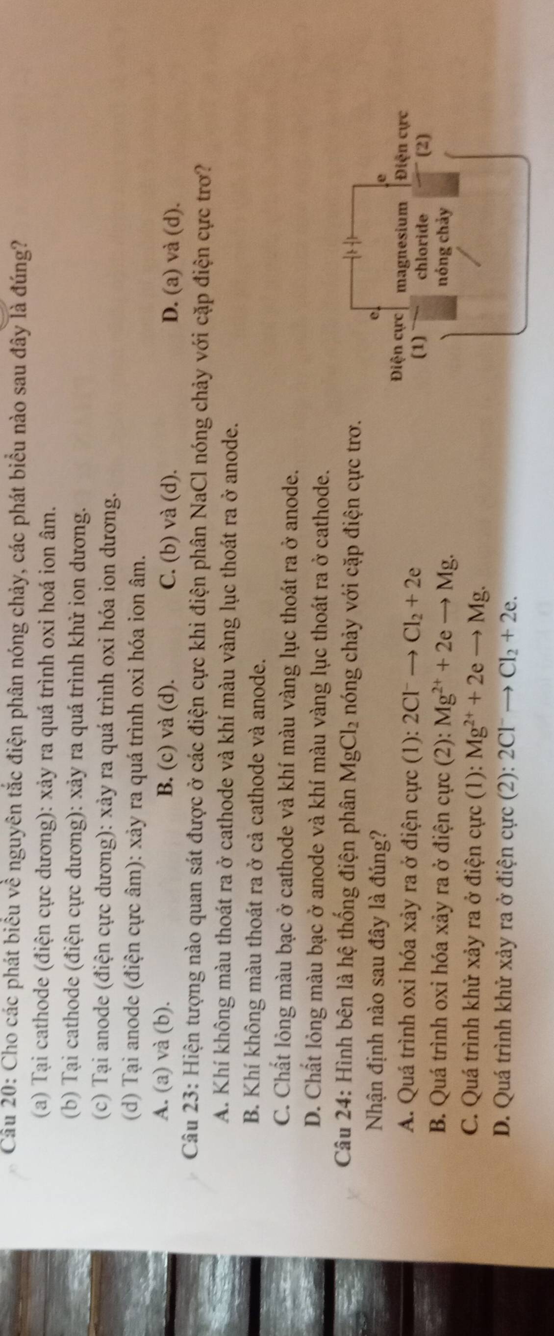 Cho các phát biểu về nguyên tắc điện phân nóng chảy, các phát biểu nào sau đây là đúng?
(a) Tại cathode (điện cực dương): xảy ra quá trình oxi hoá ion âm.
(b) Tại cathode (điện cực dương): xảy ra quá trình khử ion dương.
(c) Tại anode (điện cực dương): xảy ra quá trình oxi hóa ion dương.
(d) Tại anode (điện cực âm): xảy ra quá trình oxi hóa ion âm.
A. (a) và (b). B. (c) và (d). C. (b) và (d). D. (a) và (d).
Câu 23: Hiện tượng nào quan sát được ở các điện cực khi điện phân NaCl nóng chảy với cặp điện cực trơ?
A. Khí không màu thoát ra ở cathode và khí màu vàng lục thoát ra ở anode.
B. Khí không màu thoát ra ở cả cathode và anode.
C. Chất lỏng màu bạc ở cathode và khí màu vàng lục thoát ra ở anode.
D. Chất lỏng màu bạc ở anode và khí màu vàng lục thoát ra ở cathode.
Câu 24: Hình bên là hệ thống điện phân MgCl_2 nóng chảy với cặp điện cực trơ.
Nhận định nào sau đây là đúng?
e
e
Điện cực magnesium Điện cực
A. Quá trình oxi hóa xảy ra ở điện cực (1): 2Cl^-to Cl_2+2e chloride (2)
(1)
B. Quá trình oxi hóa xảy ra ở điện cực (2): Mg^(2+)+2eto Mg. nóng chảy
C. Quá trình khử xảy ra ở điện cực (1): Mg^(2+)+2eto Mg.
D. Quá trình khử xảy ra ở điện cực (2): 2Cl^-to Cl_2+2e.