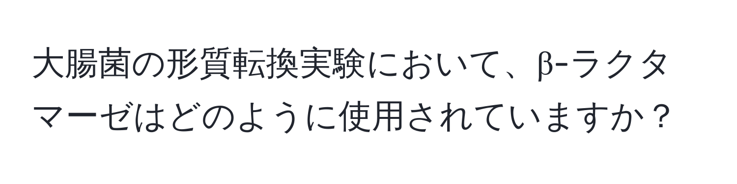 大腸菌の形質転換実験において、β-ラクタマーゼはどのように使用されていますか？