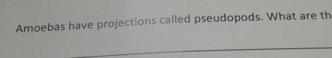 Amoebas have projections called pseudopods. What are th