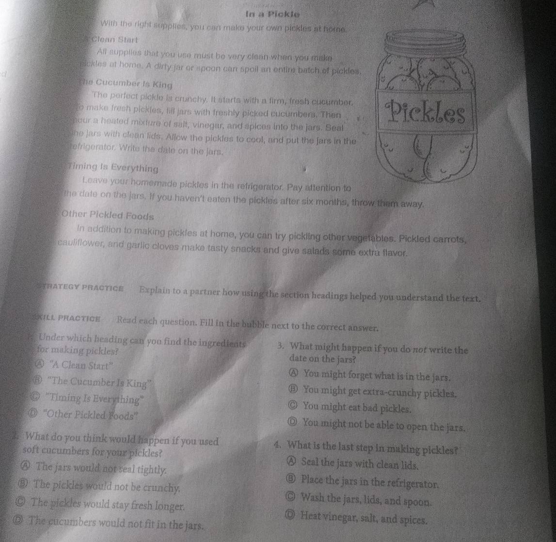 In a Pickle
With the right supplies, you can make your own pickles at home
Clean Start
All supplies that you use must be very clean when you make
ickles at home. A dirty jar or spoon can spoil an entin batch of pickles.
he Cucumber Is King
The perfect pickle is crunchy. It starts with a firm, fresh cucumber
to make fresh pickles, fill jars with freshly picked cucumbers. Then 
nour a heated mixture of salt, vinegar, and spices into the jars. Seal
the jars with clean lids. Allow the pickles to cool, and put the jars in the
efrigerator. Write the date on the jars.
Timing Is Everything
Leave your homemade pickles in the refrigerator. Pay attention to
the date on the jars. If you haven't eaten the pickles after six months, throw them away.
Other Pickled Foods
In addition to making pickles at home, you can try pickling other vegetables. Pickled carrots,
cauliflower, and garlic cloves make tasty snacks and give salads some extra flavor.
STRATEGY PRACTICE Explain to a partner how using the section headings helped you understand the text.
SNILL PRACTICE Read each question. Fill in the bubble next to the correct answer.
Under which heading can you find the ingredients 3. What might happen if you do not write the
for making pickles? date on the jars?
④ 'A Clean Start” A You might forget what is in the jars.
“The Cucumber Is King” ⑬ You might get extra-crunchy pickles.
"Timing Is Everything" ◎ You might eat bad pickles.
an ''Other Pickled Foods'' ◎ You might not be able to open the jars.
What do you think would happen if you used 4. What is the last step in making pickles?
soft cucumbers for your pickles? A Seal the jars with clean lids.
Ⓐ The jars would not real tightly: ⑥ Place the jars in the refrigerator.
⑧ The pickles would not be crunchy. ◎ Wash the jars, lids, and spoon.
© The pickles would stay fresh longer. Ⓓ Heat vinegar, salt, and spices.
⑤ The cucumbers would not fit in the jars.