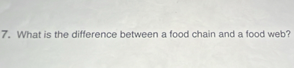 What is the difference between a food chain and a food web?