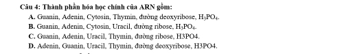 Thành phần hóa học chính của ARN gồm:
A. Guanin, Adenin, Cytosin, Thymin, đường deoxyribose, H₃PO₄.
B Guanin, Adenin, Cytosin, Uracil, đường ribose, H o
C. Guanin, Adenin, Uracil, Thymin, đường ribose, H3PO4.
D. Adenin, Guanin, Uracil, Thymin, đường deoxyribose, H3PO4.