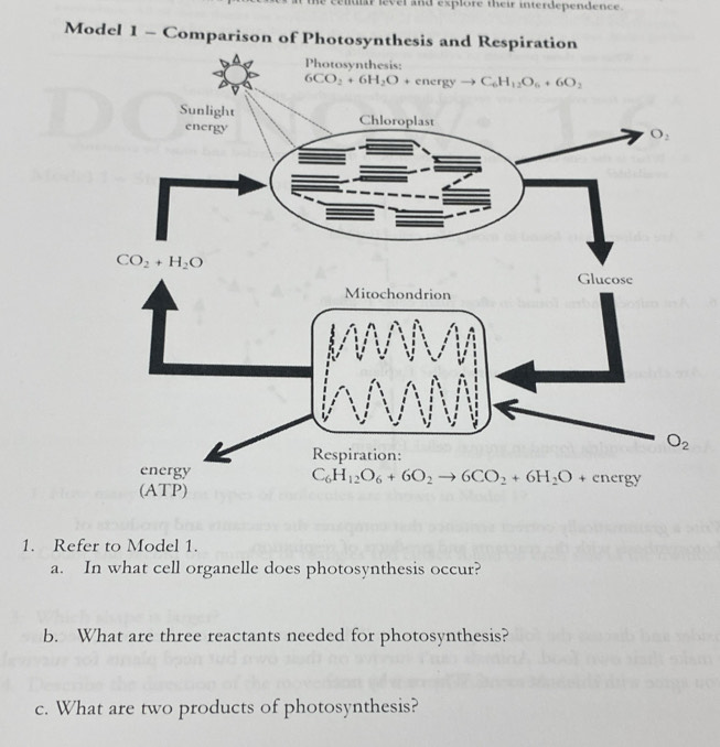 uar level and explore their interdependence.
Model 1 - Comparison of Photosynthesis and Respiration
1. Refer to Model 1.
a. In what cell organelle does photosynthesis occur?
b. What are three reactants needed for photosynthesis?
c. What are two products of photosynthesis?