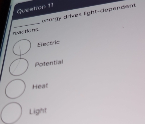 energy drives light-dependent
_
reactions.
Electric
Potential
Heat
Light