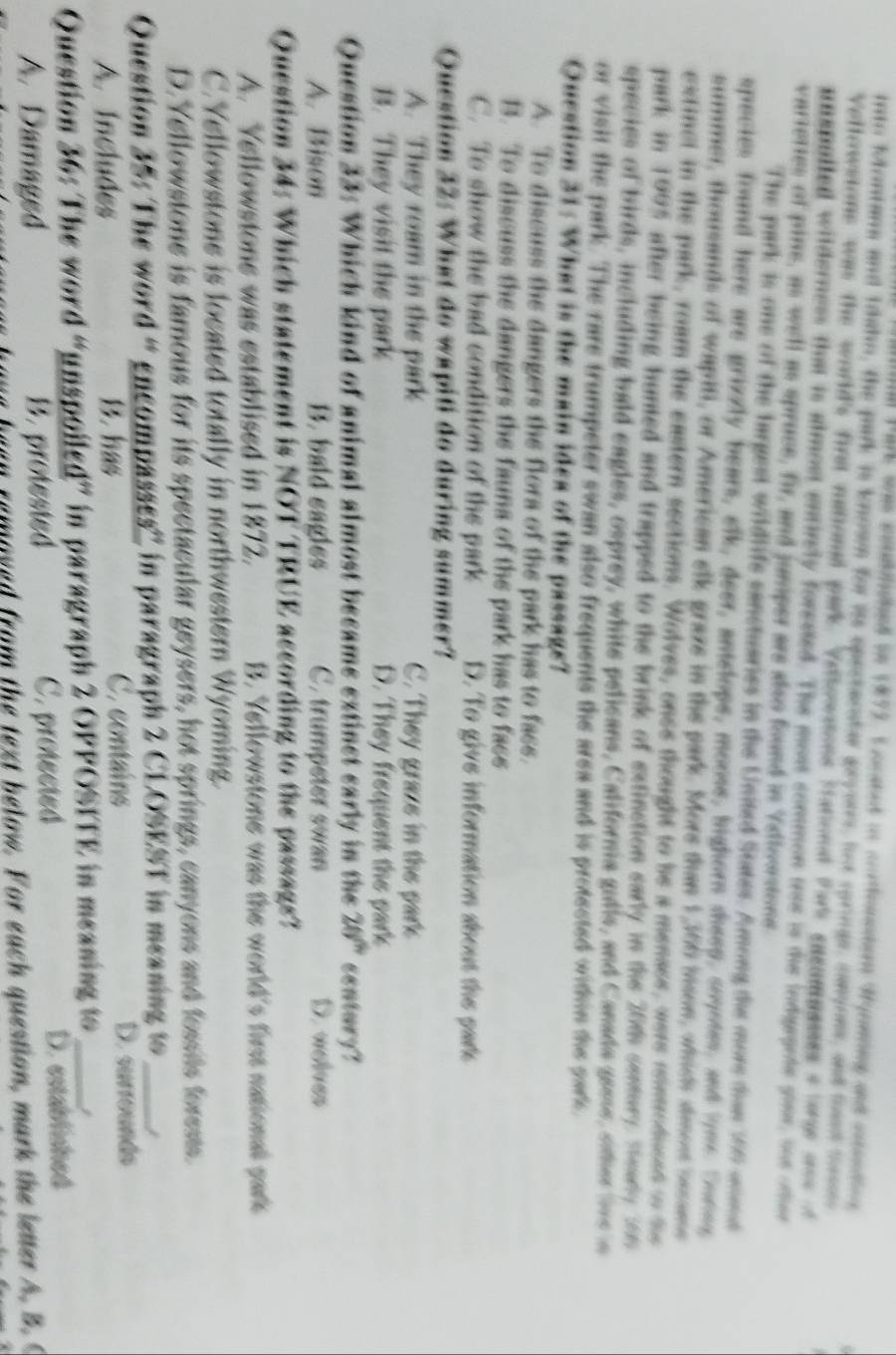 in ParE was conablislend in 1872, Ecabnt an corfontor Hynnring and estntion
into folontans and thaho, the park is known for its opectarster gryeres, hst cpringe, canyoes, and foot ts
Vellowstons was the world's first nationl park Vellowatons fational Park cacumuasses s  targe ans A
unspulled wilderness that is almost entirely forested. The most common tree is te indgegete gour, sor odee
ariettes of pine, as well as spruce, fir, and juniper ars also found in Ydlowstone
The park is one of the largest wildlife sanctuaries in the United States. Among the more tan 16 smd
species found here are grizzly bears, elk, deer, antelope, moose, highorn sheep, soyotes, and lome. Doring
summer, thousands of wapiti, or American elk graze in the park. More than 1,360 Mison, which slmost became
extincl in the park, roam the eastern sections. Wolves, onee thought to be a menace, were reintroduced to te
park in 1905 after being hunted and trapped to the brink of extinction early in the 20th century Stearly tos
species of birds, including hald eagles, osprey, white pelicans, California gulls, and Canada geese, sher tne n
or visit the park. The rare trumpeter swan also frequents the area and is protected within the park
Question 31: What is the main idea of the passage?
A. To discuss the dangers the flora of the park has to face.
B. To discuss the dangers the fauna of the park has to face
C. To show the bad condition of the park D. To give information about the park
Question 32: What do wapiti do during summer?
A. They roam in the park C. They graze in the park
B. They visit the park D. They frequent the park
Question 33: Which kind of animal almost became extinct early in the 20° contury?
A. Bison B. bald eagles C. trumpeter swan D. welves
Question 34: Which statement is NOT TRUE according to the passags?
A. Yellowstone was establised in 1872. B. Yellowstone was the world's first national park
C. Yellowstone is located totally in northwestern Wyoming.
D.Yellowstone is famous for its spectacular geysers, hot springs, canyons and fossils forests.
Question 35: The word “ encompasses” in paragraph 2 CLOSEST in measing to _/
A Includes B. has C. contains D. surrounds
Question 36: The word “unspoiled” in paragraph 2 OPPOSITE in measing to_
A. Damaged B. protested C. protected D. established
removed from the text below. For each question, mark the letter A. B.