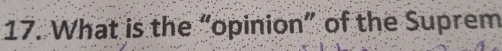 What is the “opinion” of the Suprem