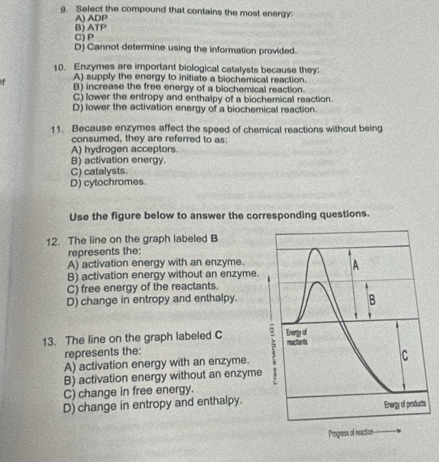 Select the compound that contains the most energy:
A) ADP
B) ATP
C) P
D) Cannot determine using the information provided.
10. Enzymes are important biological catalysts because they:
of
A) supply the energy to initiate a biochemical reaction.
B) increase the free energy of a biochemical reaction.
C) lower the entropy and enthalpy of a biochemical reaction.
D) lower the activation energy of a biochemical reaction.
11. Because enzymes affect the speed of chemical reactions without being
consumed, they are referred to as:
A) hydrogen acceptors.
B) activation energy.
C) catalysts.
D) cytochromes.
Use the figure below to answer the corresponding questions.
12. The line on the graph labeled B
represents the:
A) activation energy with an enzyme.
B) activation energy without an enzyme.
C) free energy of the reactants.
D) change in entropy and enthalpy.
13. The line on the graph labeled C
represents the:
A) activation energy with an enzyme.
B) activation energy without an enzyme
C) change in free energy.
D) change in entropy and enthalpy.