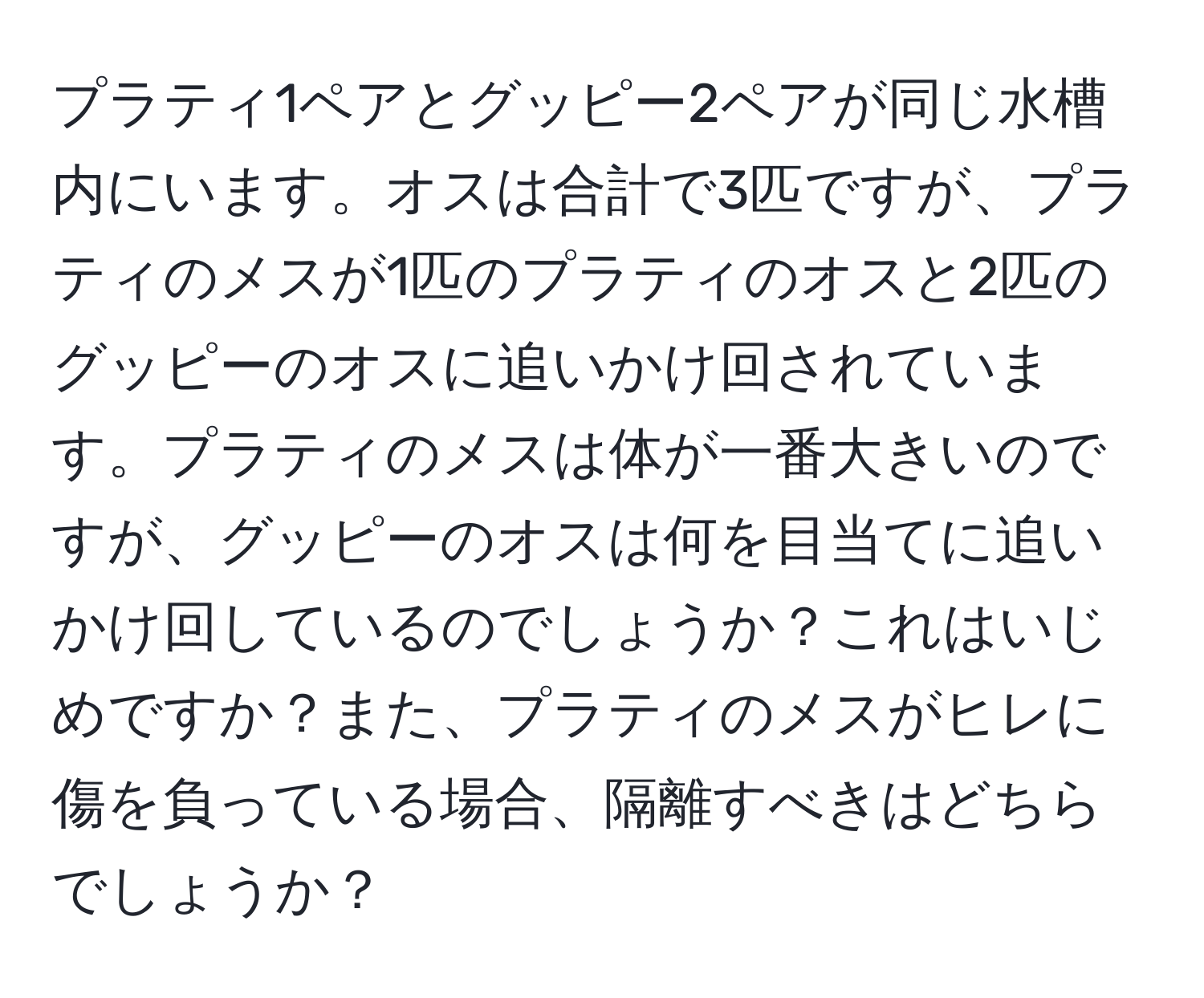 プラティ1ペアとグッピー2ペアが同じ水槽内にいます。オスは合計で3匹ですが、プラティのメスが1匹のプラティのオスと2匹のグッピーのオスに追いかけ回されています。プラティのメスは体が一番大きいのですが、グッピーのオスは何を目当てに追いかけ回しているのでしょうか？これはいじめですか？また、プラティのメスがヒレに傷を負っている場合、隔離すべきはどちらでしょうか？