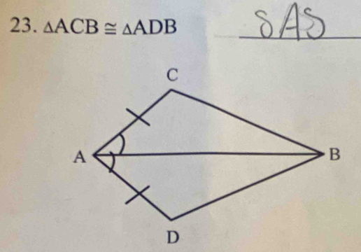 △ ACB≌ △ ADB
_