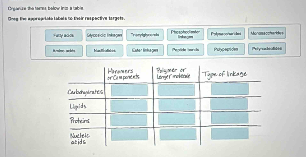 Solved: Organize the terms below into a table. Drag the appropriate ...