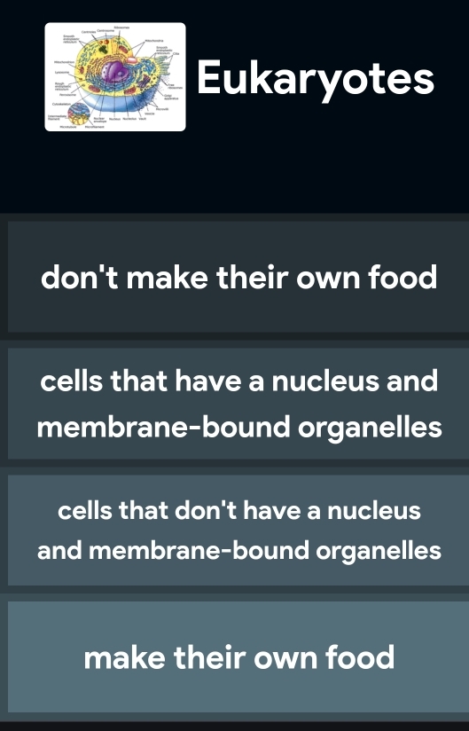 Eukaryotes
don't make their own food
cells that have a nucleus and
membrane-bound organelles
cells that don't have a nucleus
and membrane-bound organelles
make their own food