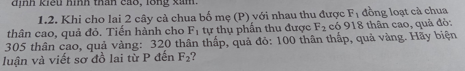 dịnh kiểu hình than cáo, lồng xam. 
1.2. Khi cho lai 2 cây cà chua bố mẹ (P) với nhau thu được F_1 đồng loạt cà chua 
thân cao, quả đỏ. Tiến hành cho F_1 tự thụ phần thu được F_2 có 918 thân cao, quả đỏ:
305 thân cao, quả vàng: 320 thân thấp, quả đỏ: 100 thân thấp, quả vàng. Hãy biện 
luận và viết sơ đồ lai từ P đến F_2